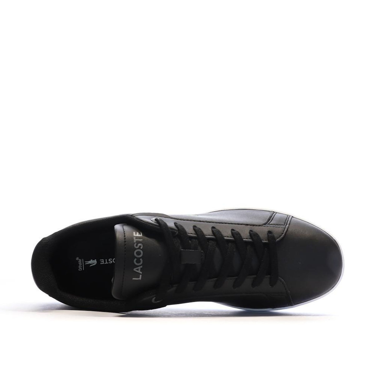 Lacoste Baskets es Homme Lacoste Carnaby