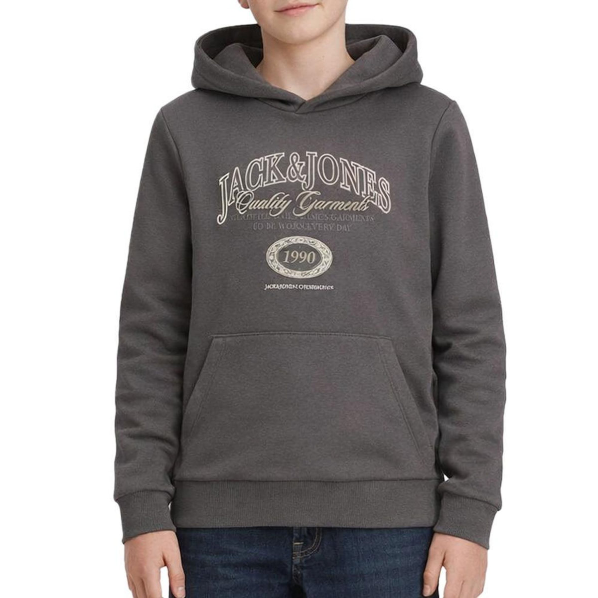 Jack & Jones Sweat Gris Garçon Jack & Jones Ari