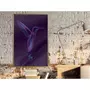 Paris Prix Affiche Murale Encadrée  Fluorescent Hummingbird  