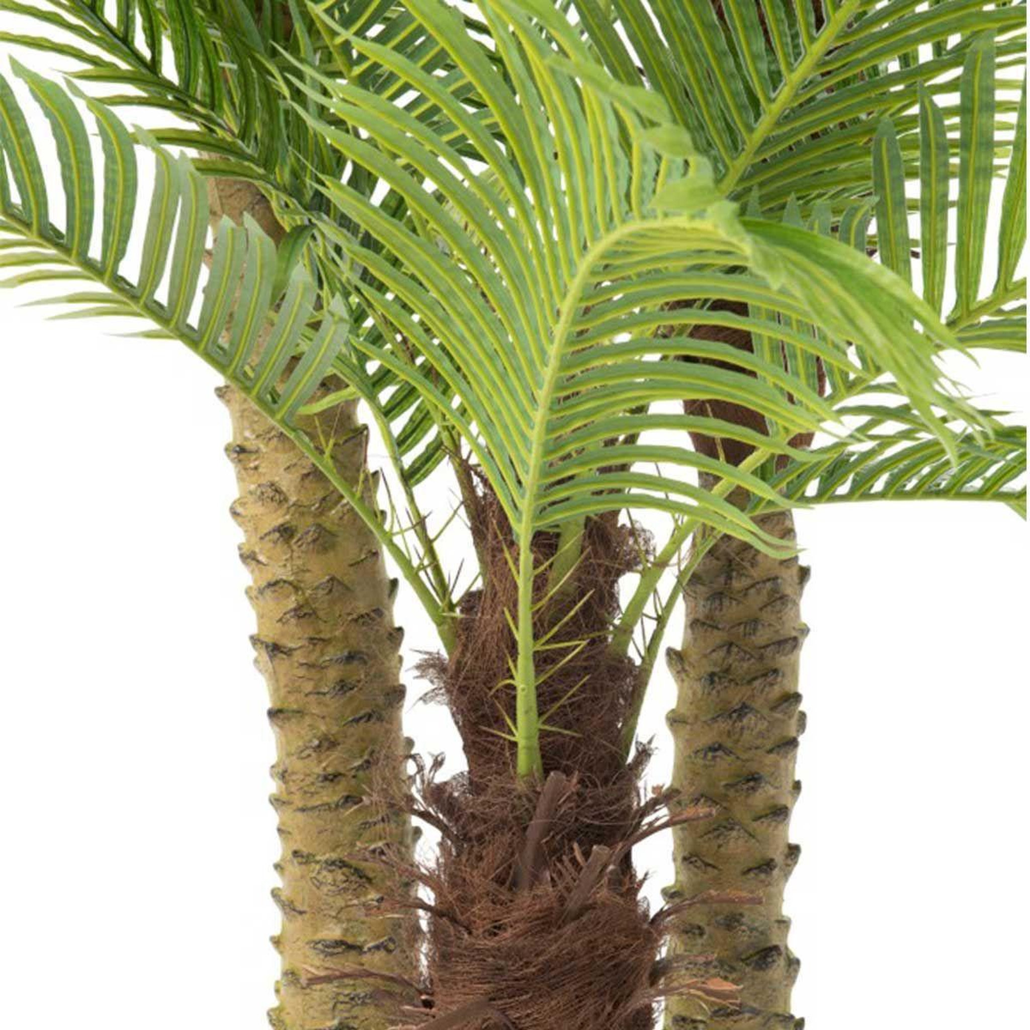 Voir la diapositive 3 : J-LINE Plante artificielle en pot  3 palmiers  300cm vert