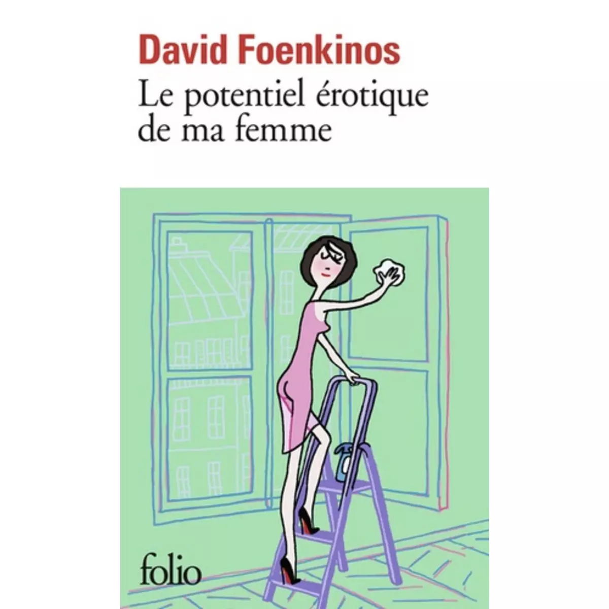  LE POTENTIEL EROTIQUE DE MA FEMME, Foenkinos David
