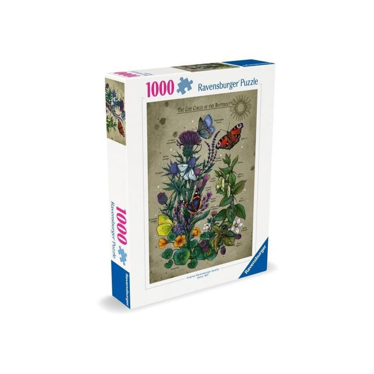 RAVENSBURGER Puzzle - RAVENSBURGER - Le Cercle de Vie du Papillon - 1000 pieces - Multicolore - a partir de 14 ans