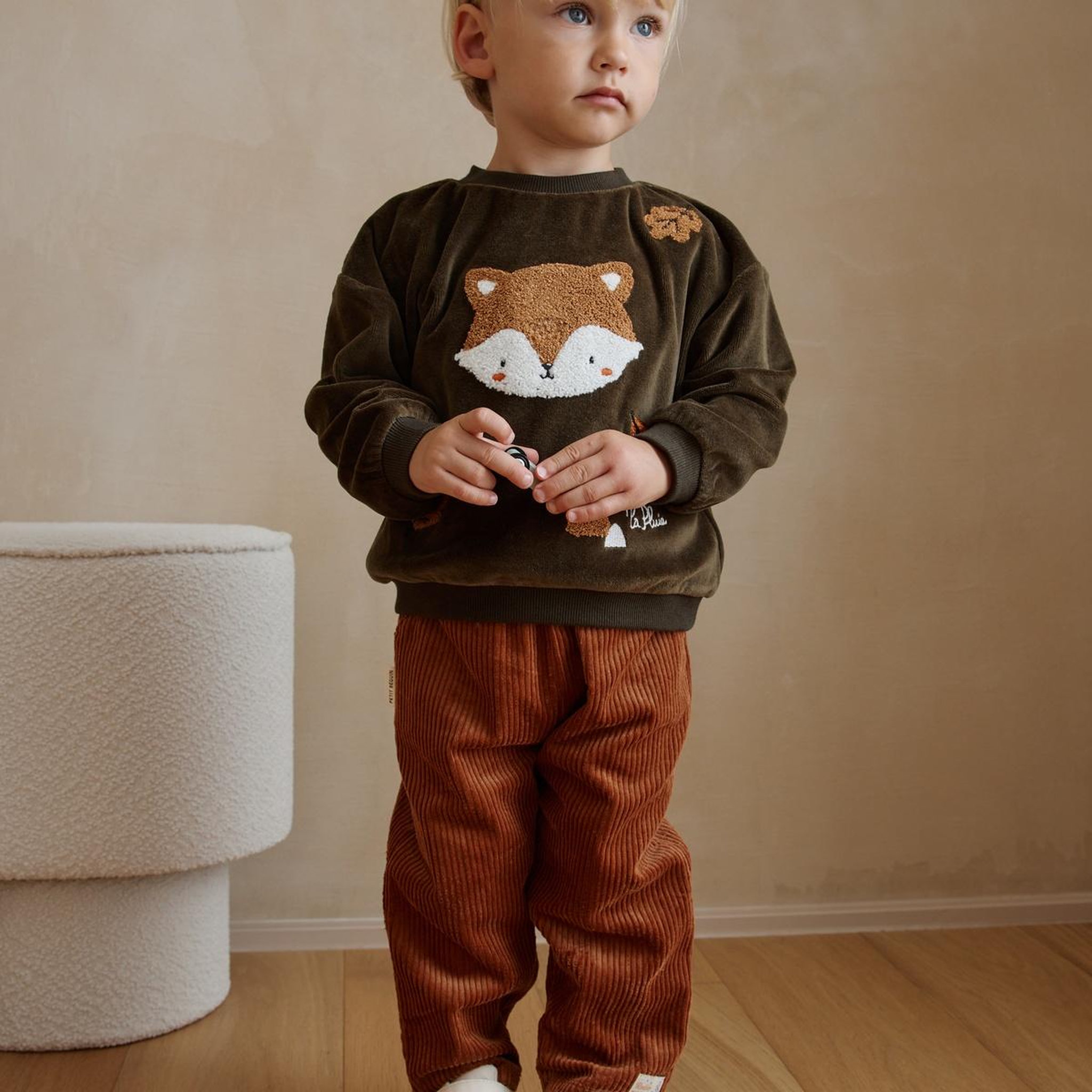 Voir la diapositive 5 : PETIT BEGUIN Sweat-shirt bébé en velours ginkgo
