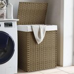 VIDAXL Panier a linge avec couvercle 46x33x60 cm resine tressee