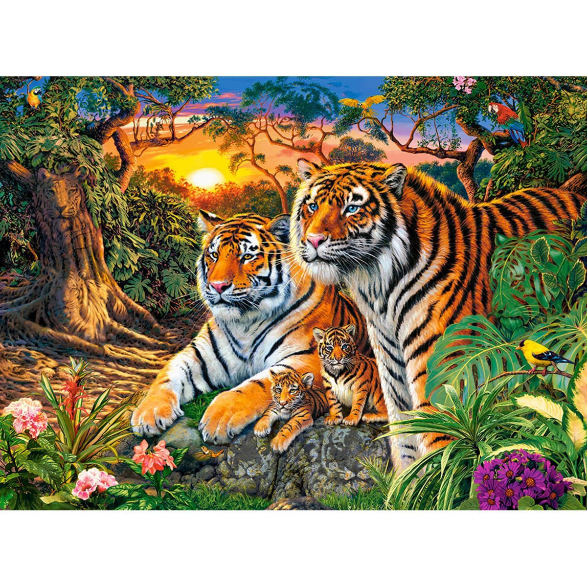 Castorland Puzzle 2000 pièces : Famille Tigres