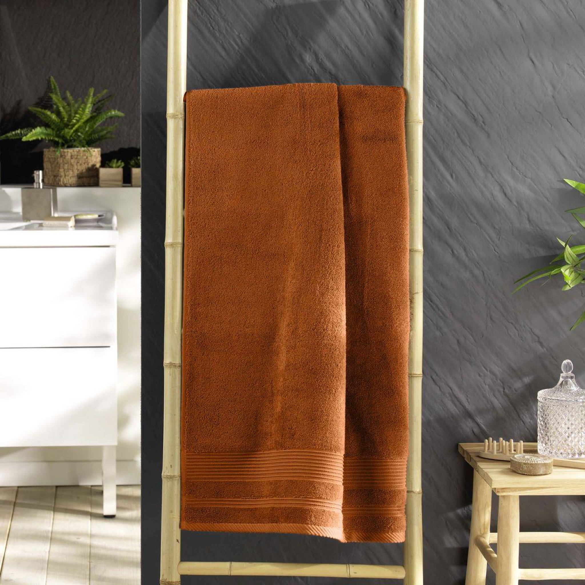 Voir la diapositive 4 : Douceur d'Intérieur Drap de douche  tendresse  70x130cm caramel