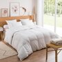 Voir la diapositive 1 : DUNLOPILLO Couette Jade Chaude - 40% duvet