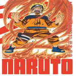 NARUTO EDITION HOKAGE TOME 13 , Kishimoto Masashi