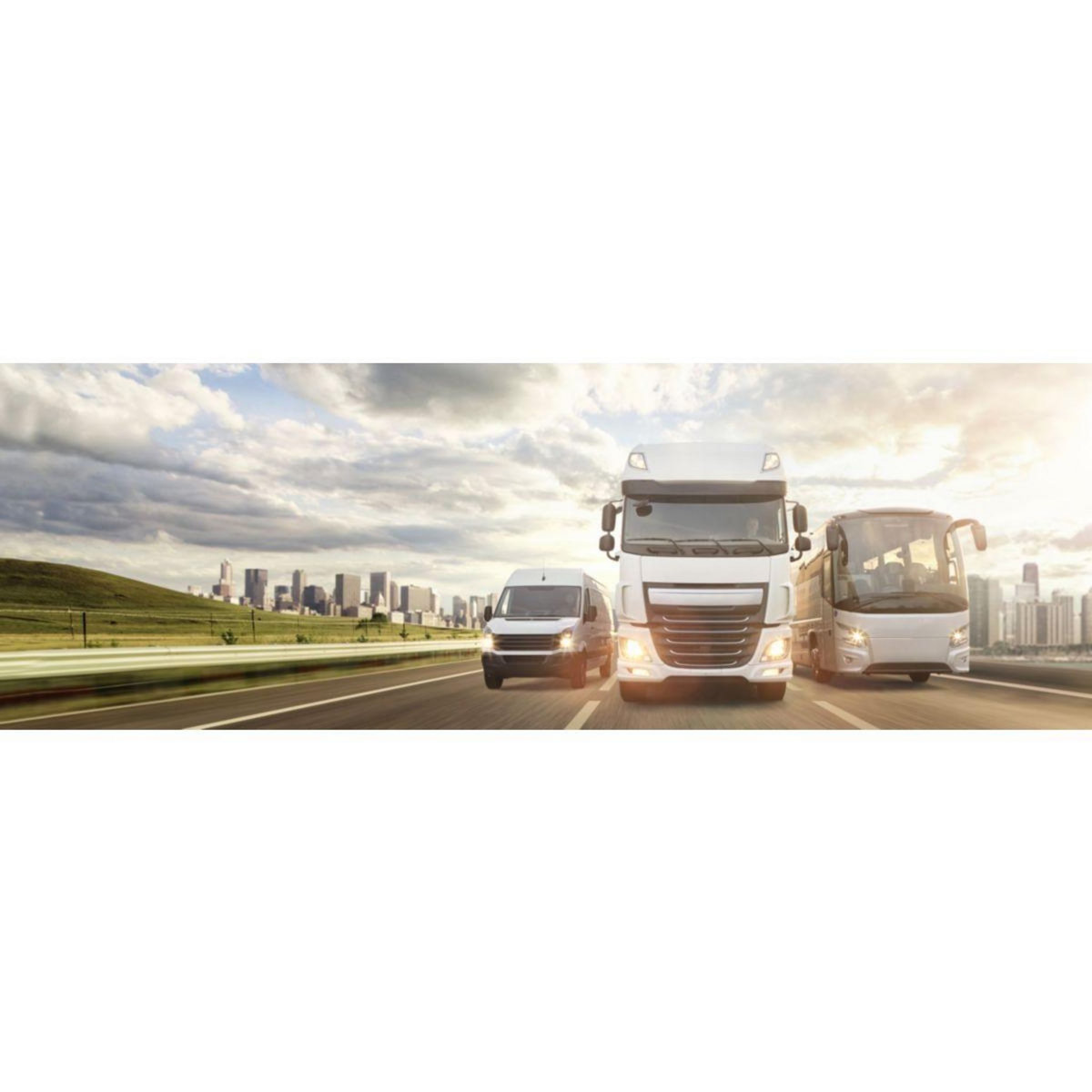 Tomtom GPS Go Professional 520