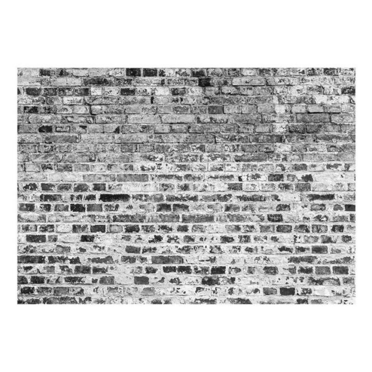 Paris Prix Papier Peint  Border of Greynesses