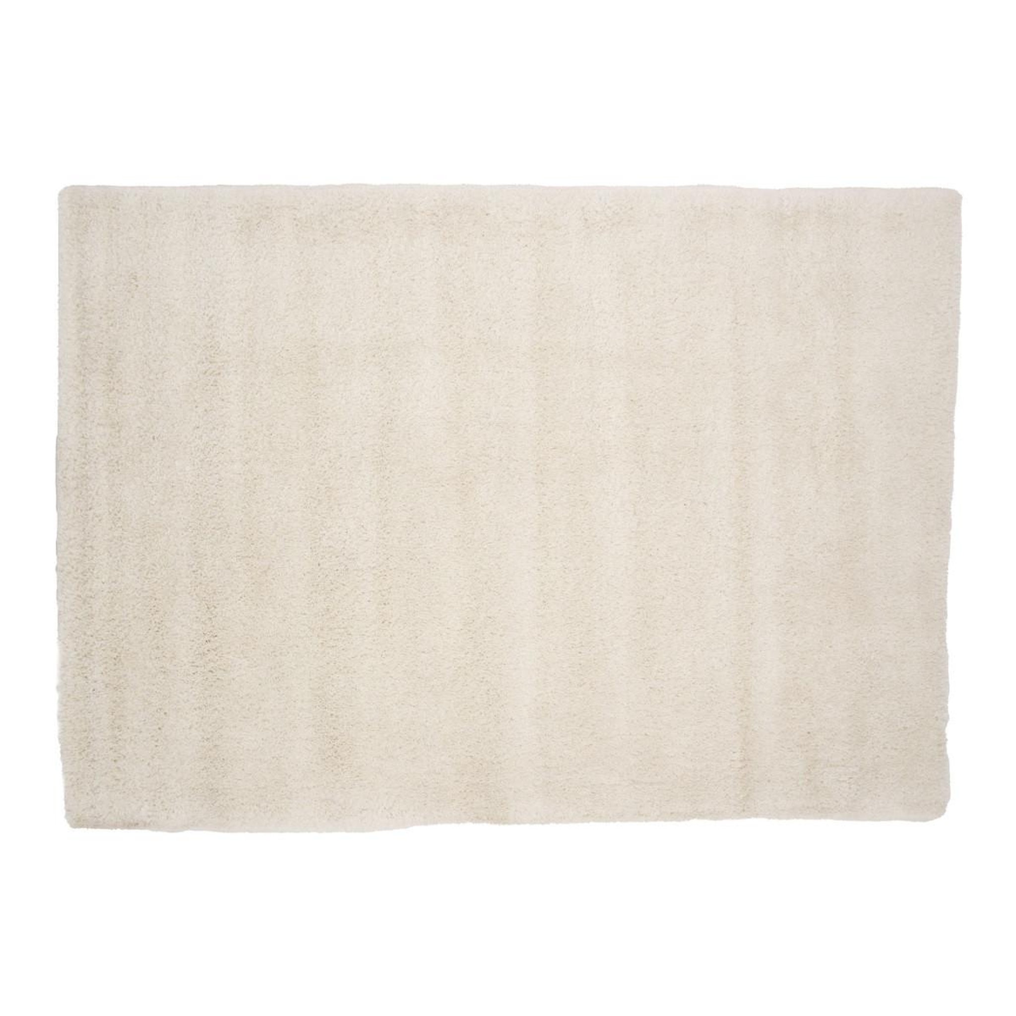 Voir la diapositive 1 : Paris Prix Tapis design  walter  200x290cm naturel