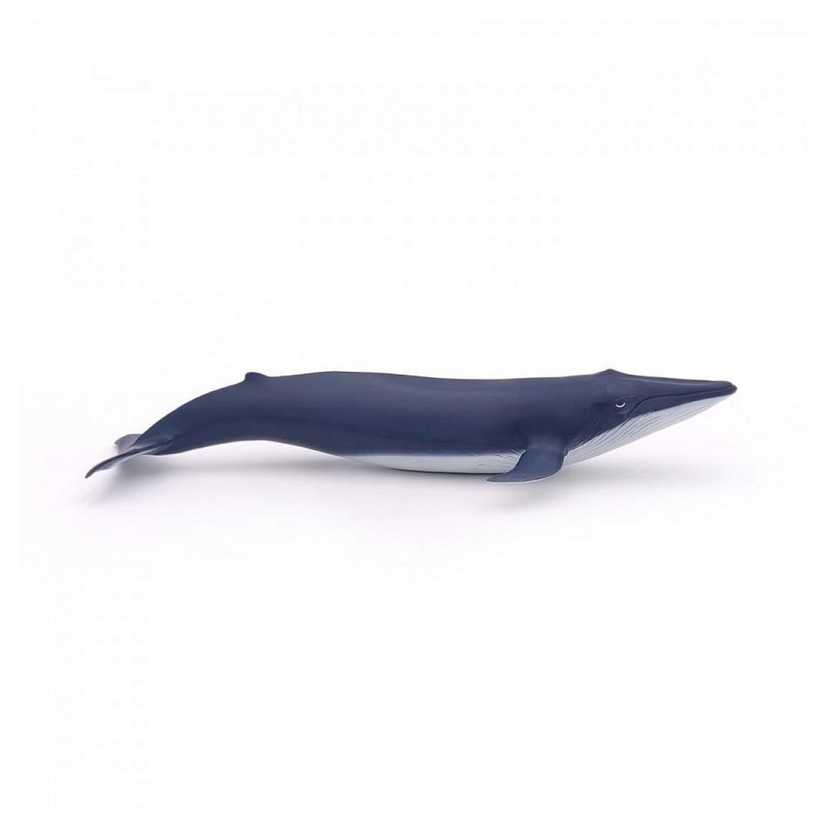 Papo 56041 Figurine Bebe baleine bleue