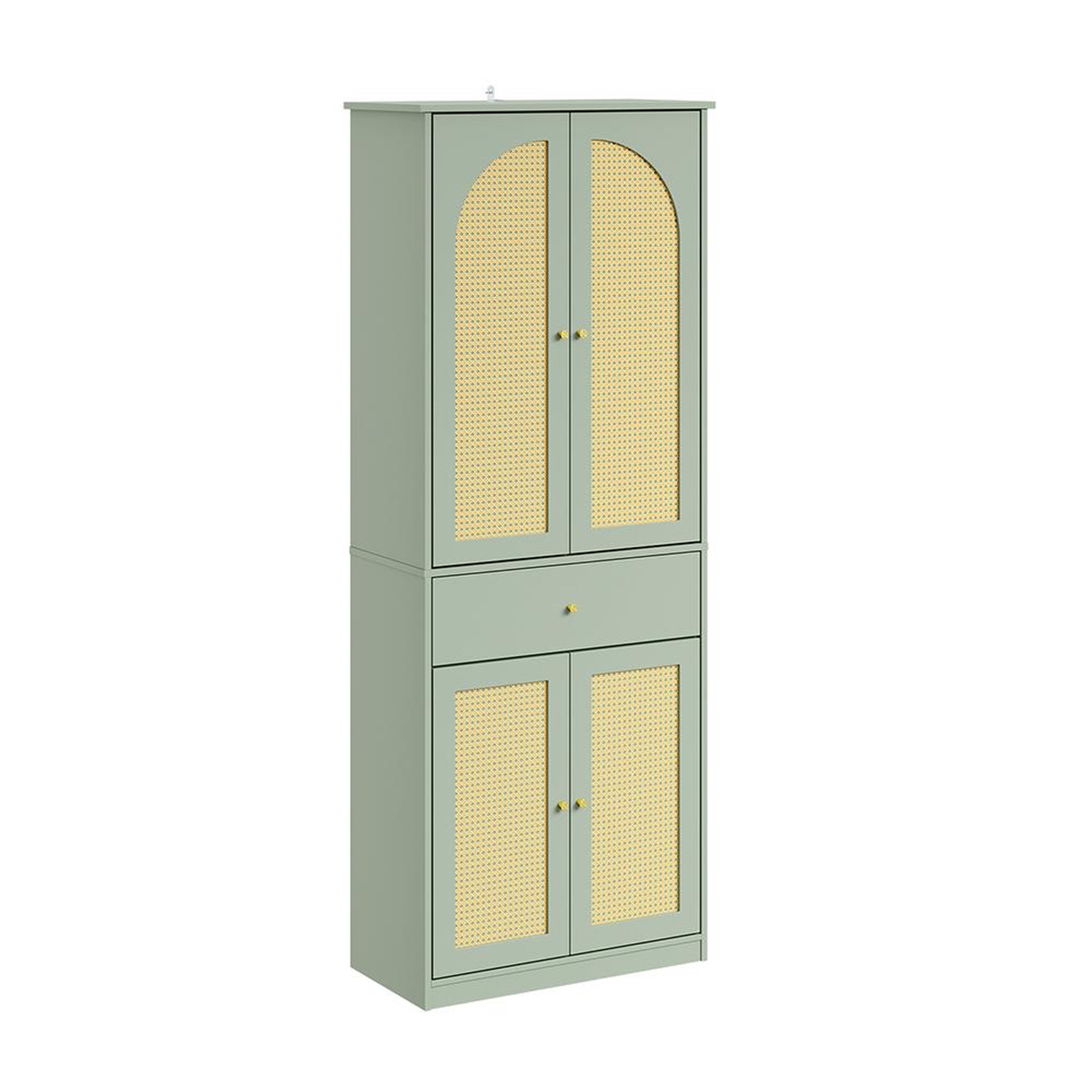 SOBUY Armoire d'entrée avec tiroir Vert 70x34x180cm FSB107-GR