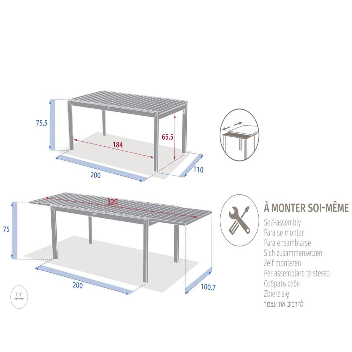 HESPERIDE Table de jardin rectangulaire extensible rallonge coulissante alu Evasion Effet bois Honey Graphite- 10/12 places - Hespéride
