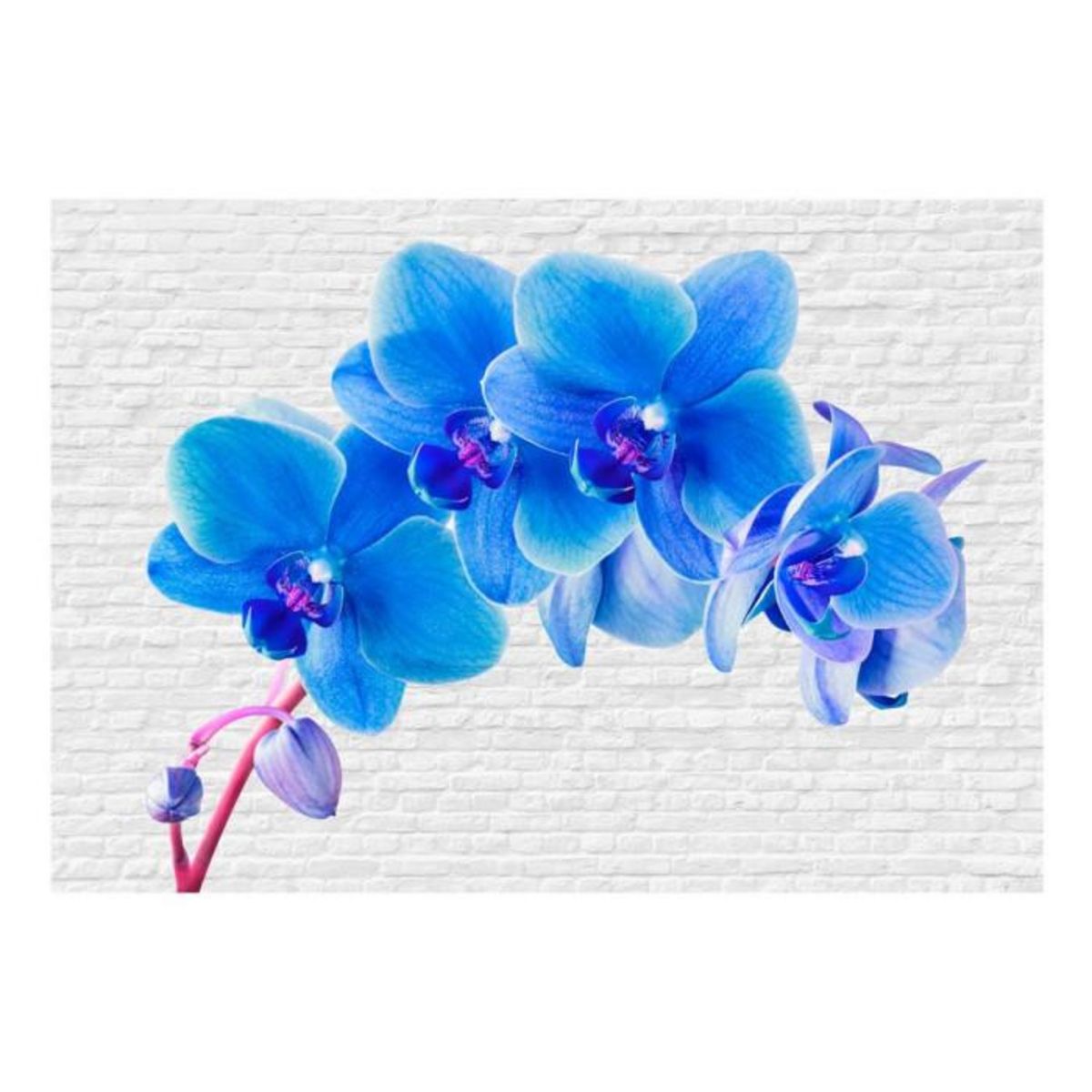 Paris Prix Papier Peint  Blue Excitation