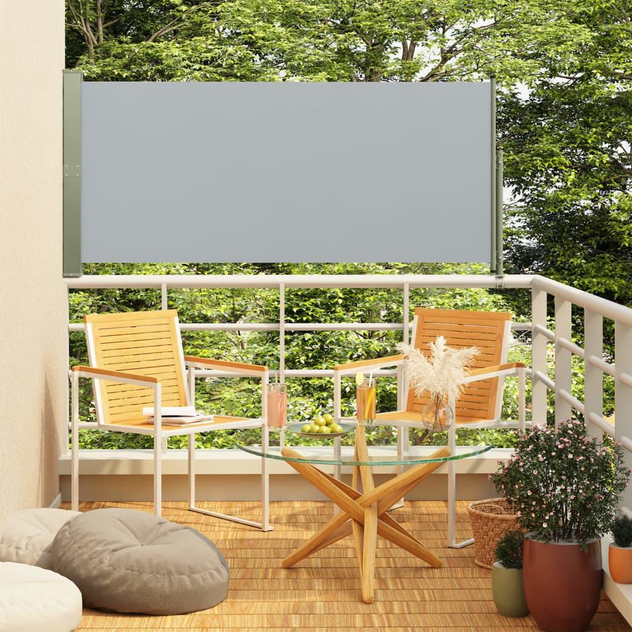 Voir la diapositive 1 : VIDAXL Auvent lateral retractable de patio 160x300 cm Gris