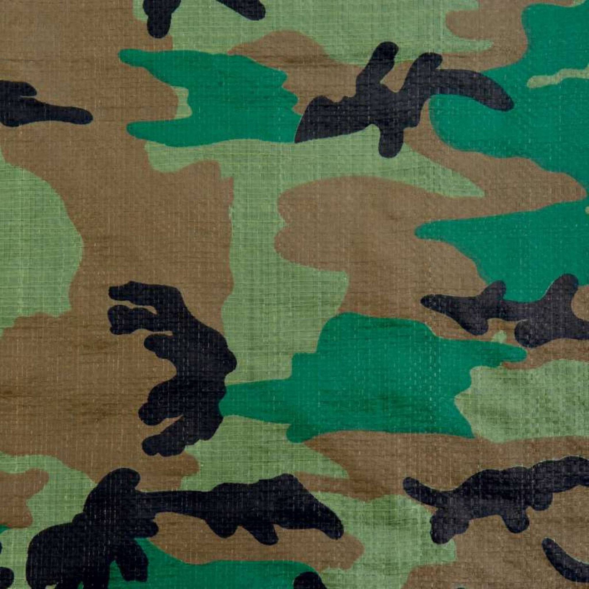 Voir la diapositive 4 :  Bâche camouflage 130g/m2 Werkapro 5x6m