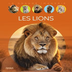 LES LIONS, Franco Cathy