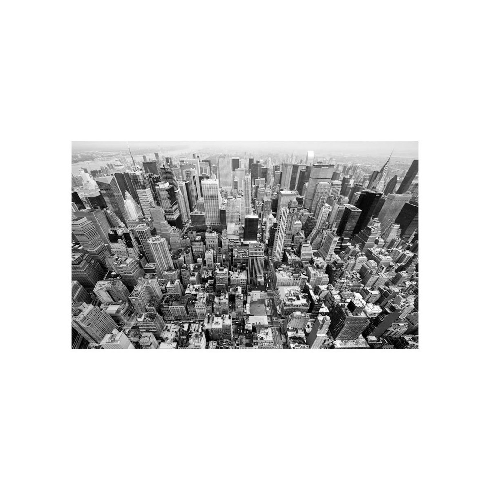 Voir la diapositive 2 : Paris Prix Papier peint  états unis, new york : noir & blanc ii  270x450cm