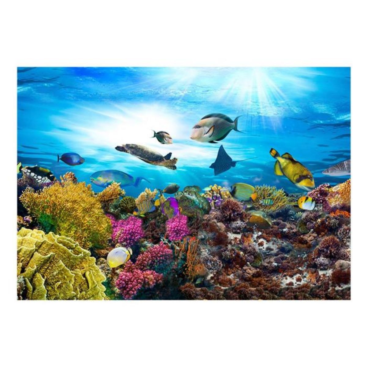 Paris Prix Papier Peint  Coral Reef