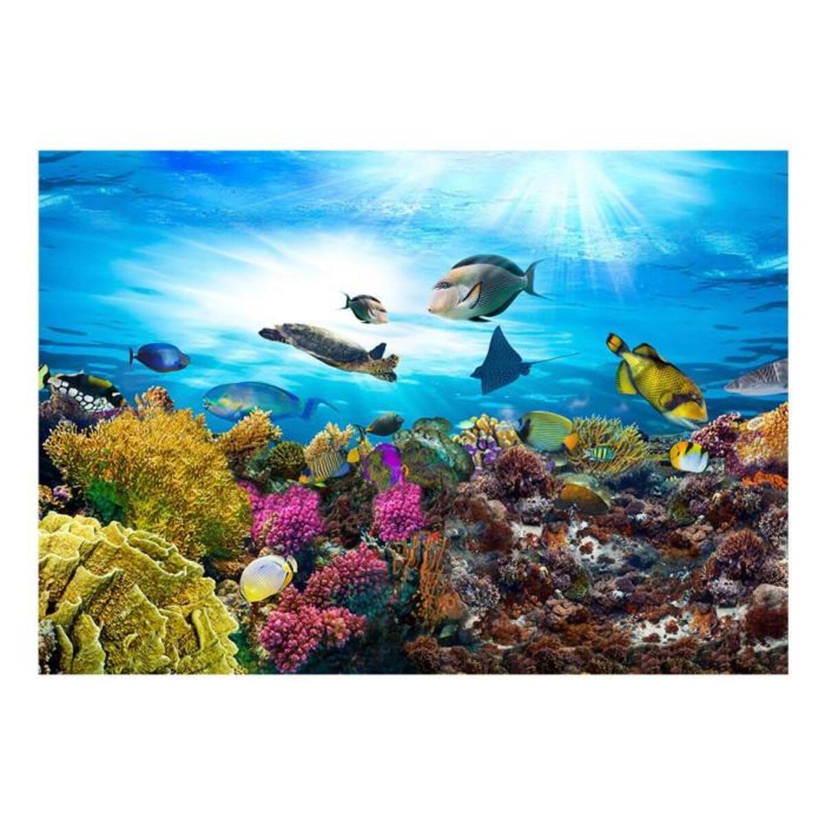 Paris Prix Papier Peint  Coral Reef