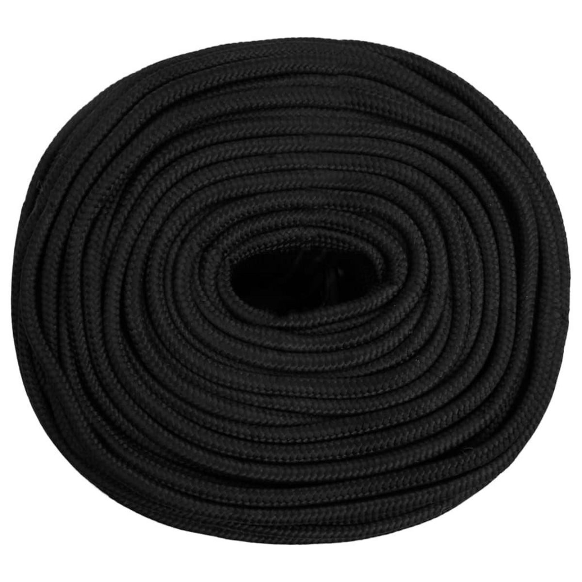 VIDAXL Corde de bateau Noir complet 10 mm 25 m Polypropylene