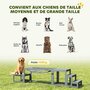Voir la diapositive 6 : PAWHUT Passerelle agility chiens - Passerelle pour parcours canins d'Agility - bois de sapin gris