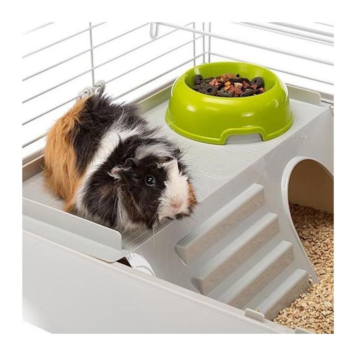 Ferplast Cage - FERPLASTE - CAVIE 80X1 - 77 x 48 x 42 cm - Gris clair