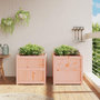 Voir la diapositive 3 : VIDAXL Jardinieres 2 pcs bois massif douglas