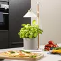 Smartwares Smartwares Lampe de culture de jardin a LED 9 W Blanc