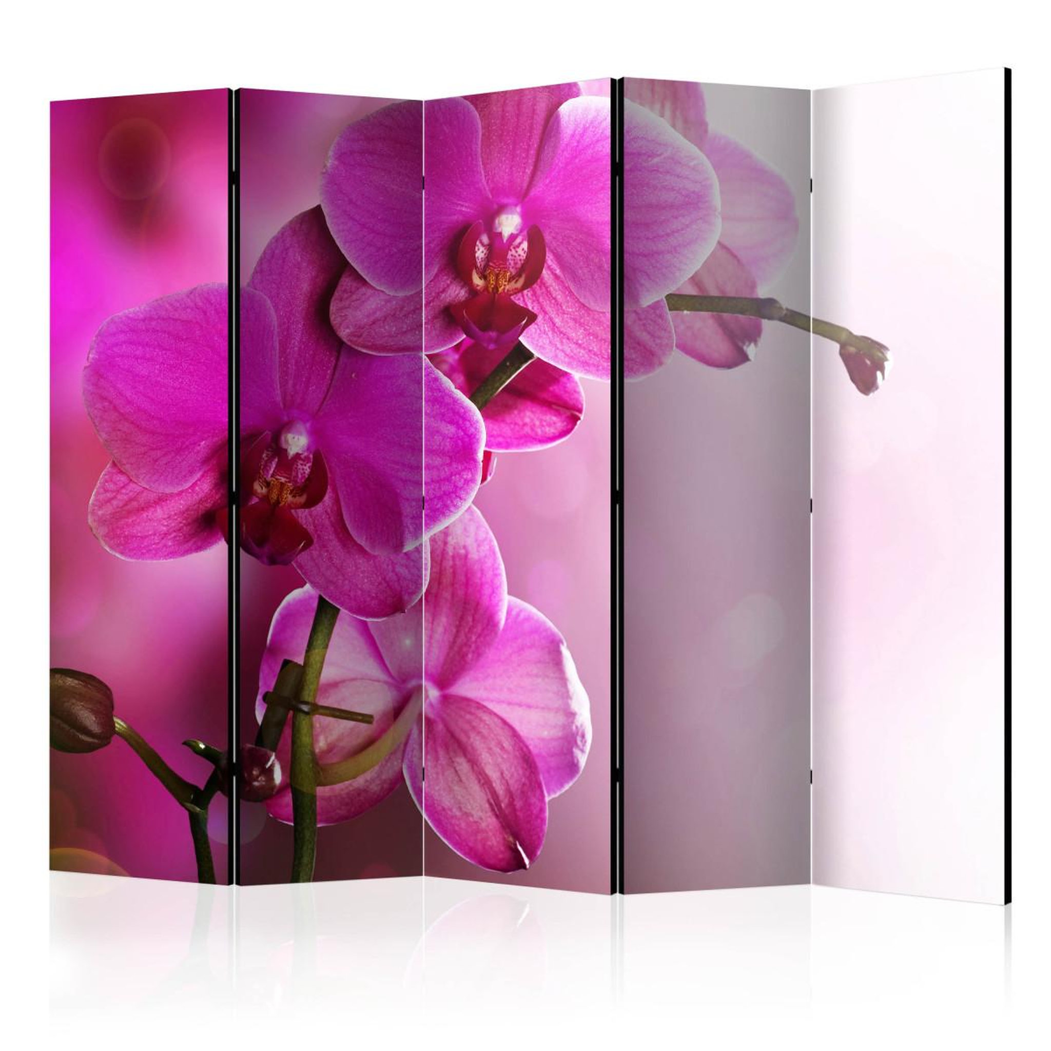 Paris Prix Paravent 5 volets  pink orchid ii  172x225cm