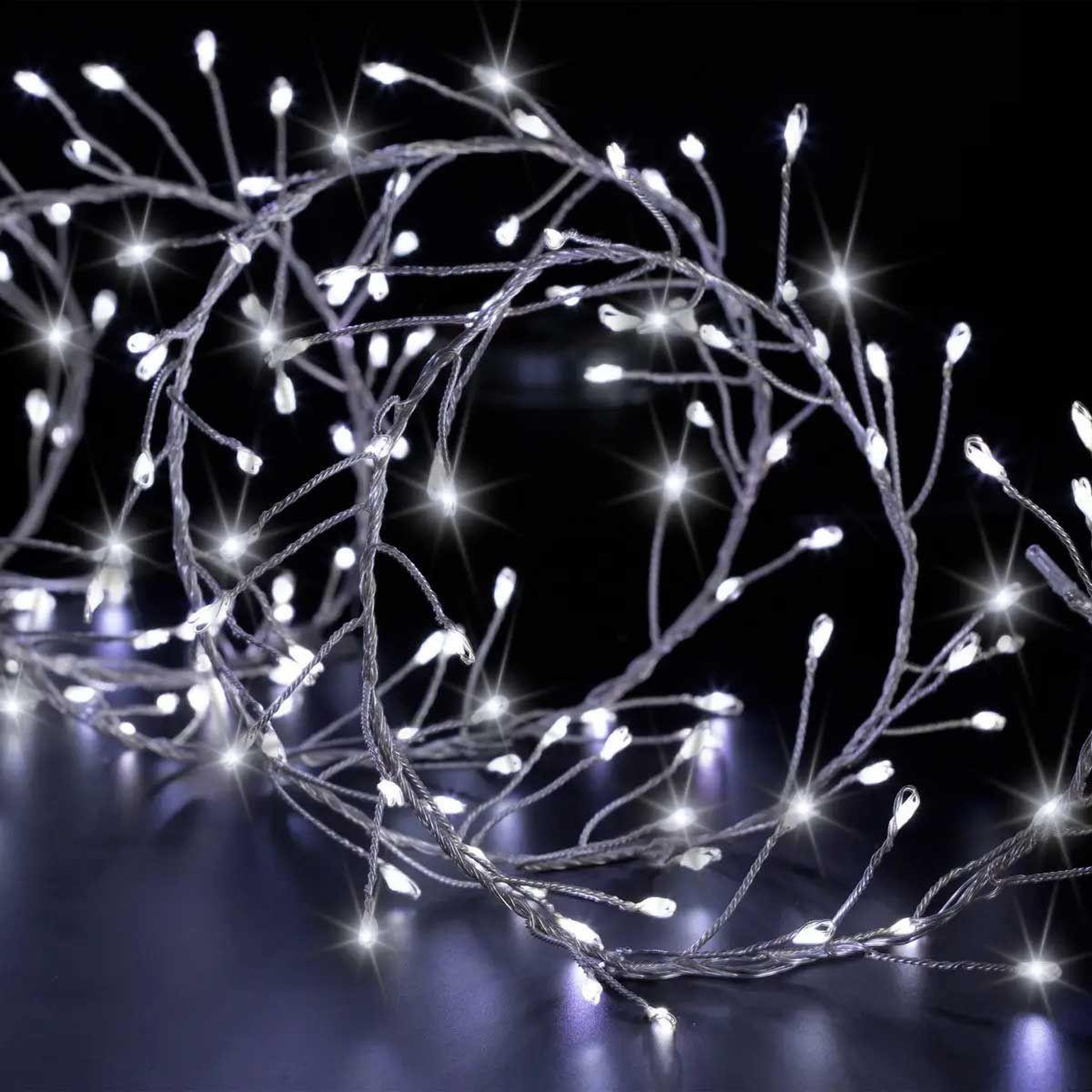 FEERIC LIGHT & CHRISTMAS Guirlande lumineuse extérieur  boa  2,5m blanc froid