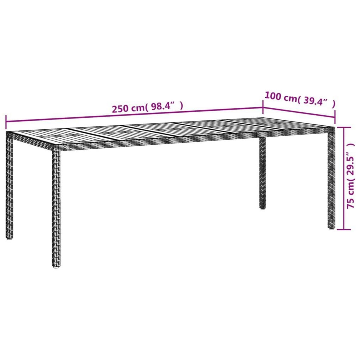 VIDAXL Table de jardin Gris 250x100x75 cm Resine tressee