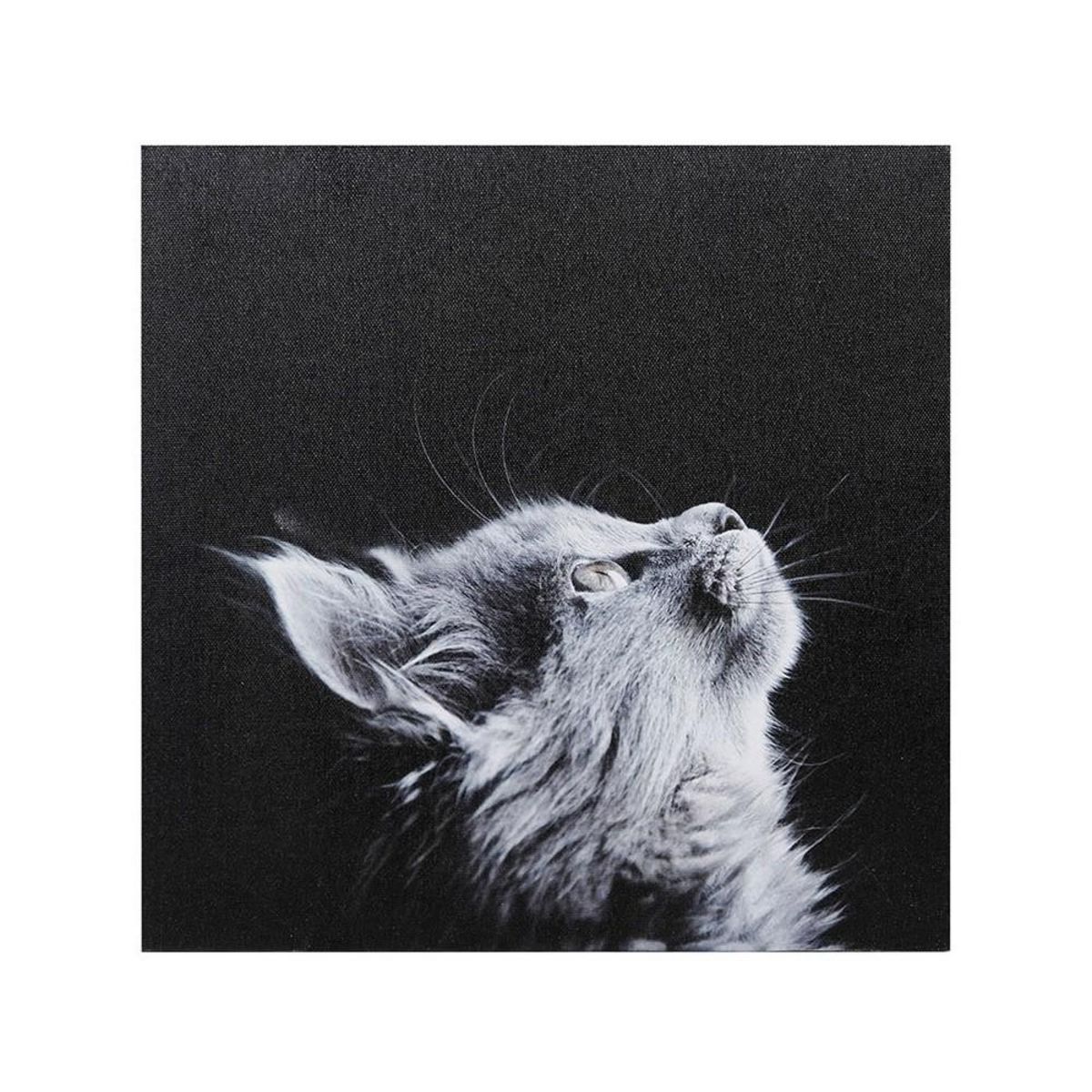 OSTARIA Ensemble de 4 tableaux sur toile imprimée 28x28 cm Funny