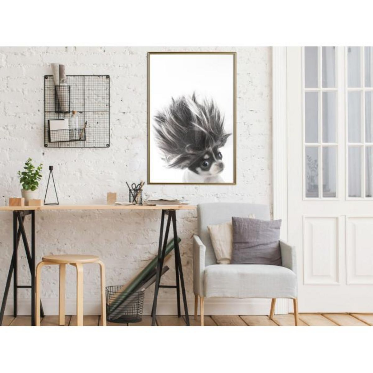 Paris Prix Affiche Murale Encadrée  Funny Chihuahua