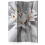 Voir la diapositive 1 : Paris Prix Paravent 3 Volets  Sensual Lilies  135x172cm