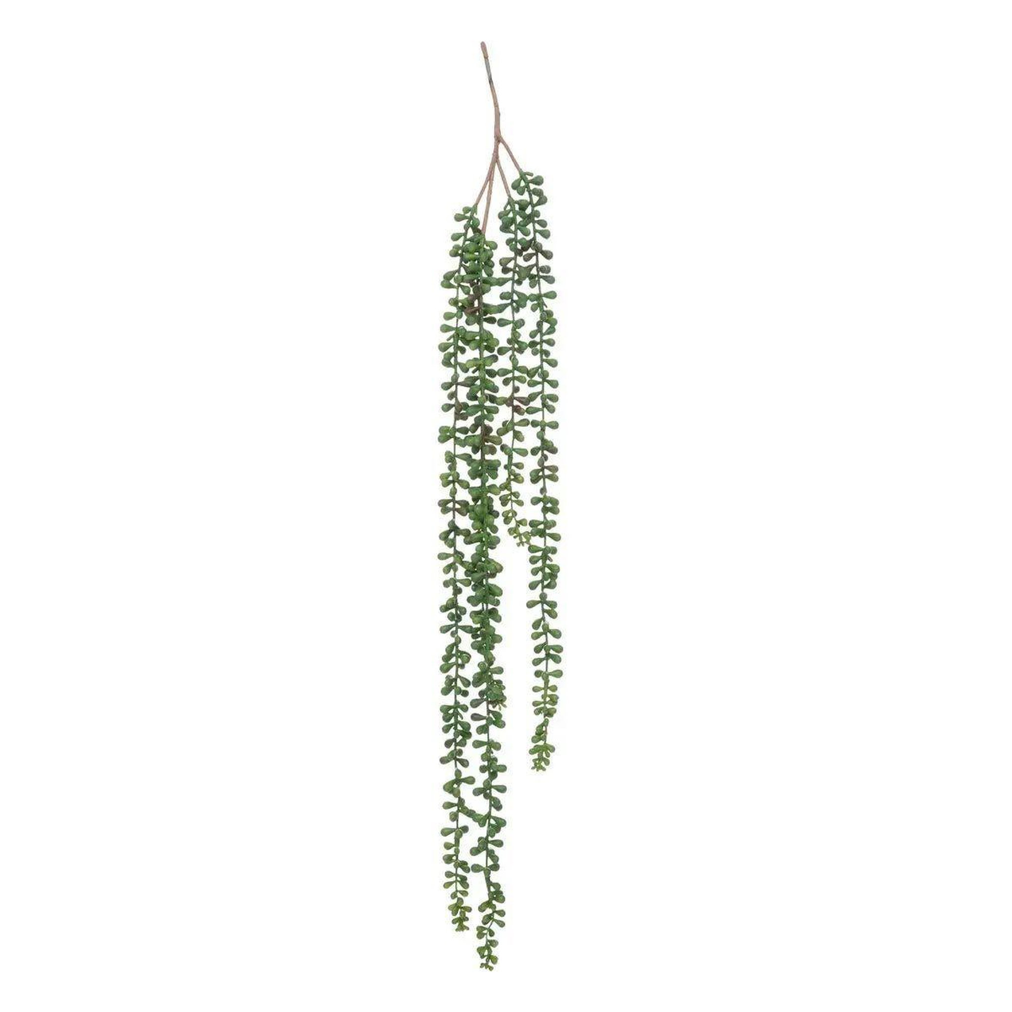 ATMOSPHERA Plante tombante déco  séneçon  37cm vert