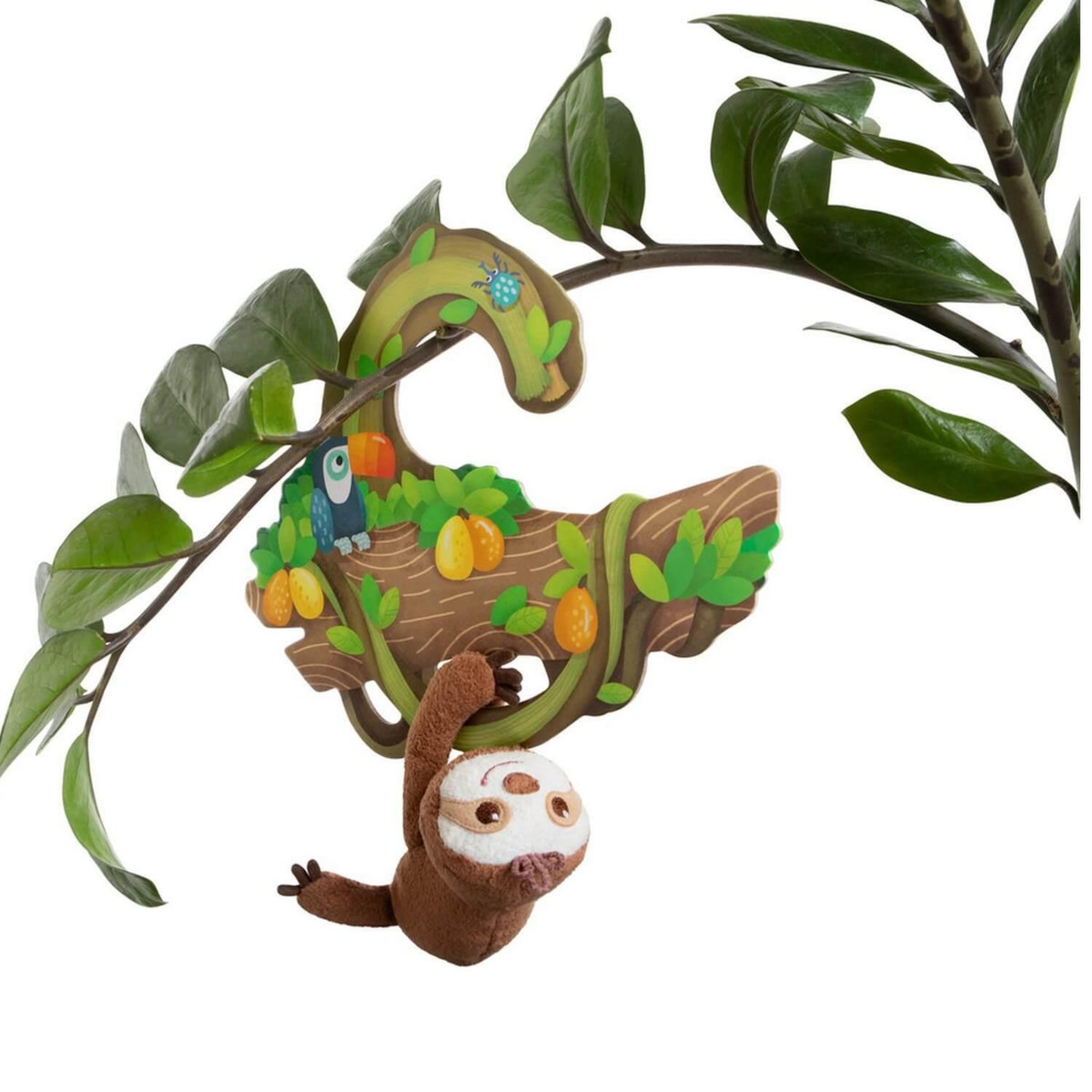 Haba Où se cache Lazy?