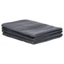 Voir la diapositive 2 : VIDAXL Tapis de tente 250x450 cm Anthracite
