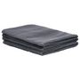 Voir la diapositive 2 : VIDAXL Tapis de tente 250x450 cm Anthracite