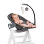Voir la diapositive 4 : HAUCK Transat Alpha Bouncer Deluxe