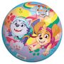 Voir la diapositive 2 : PAT PATROUILLE Ballon Pat patrouille 23 cm