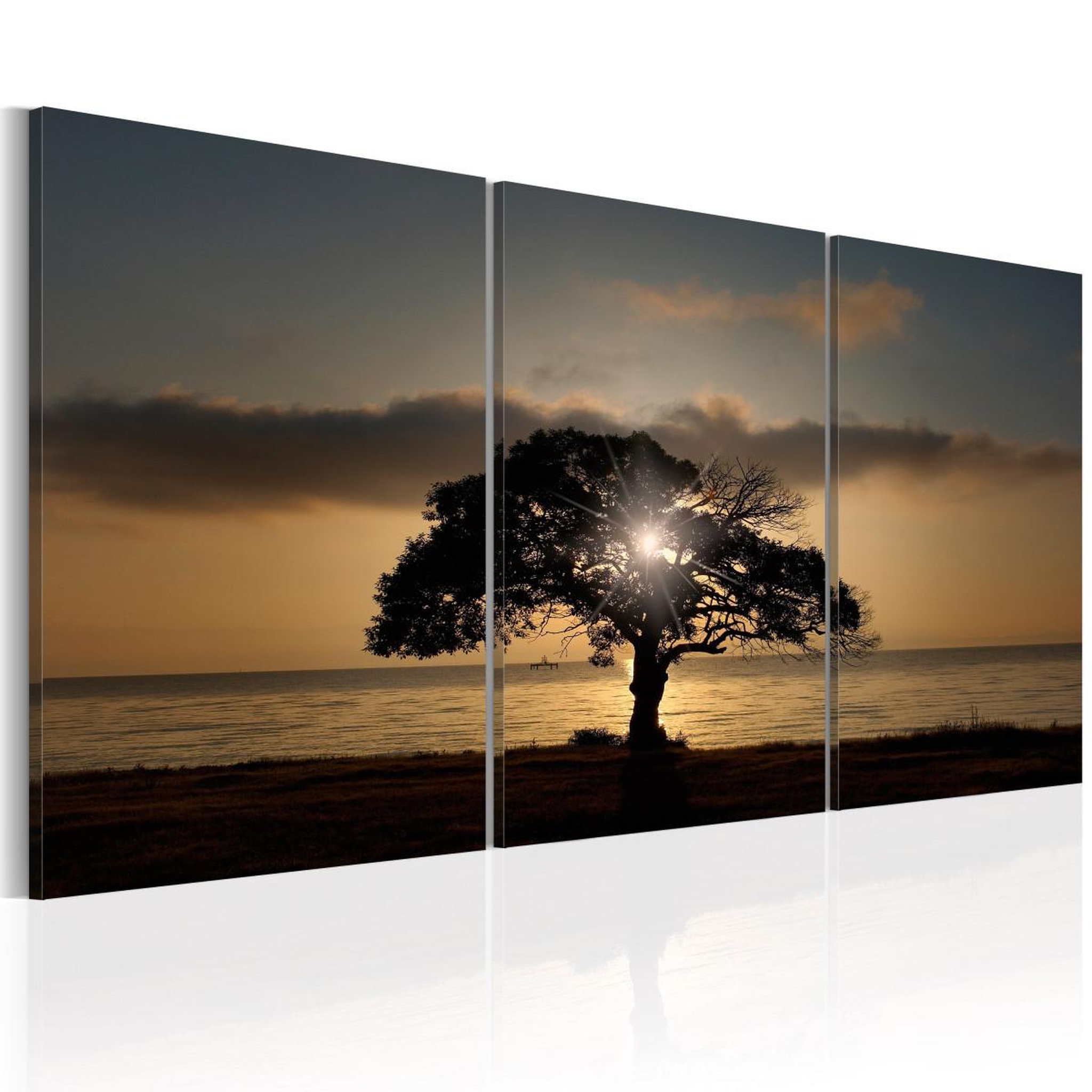 Paris Prix Tableau imprimé  extraordinary nature  60x120cm