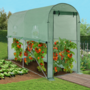 Voir la diapositive 2 : ID MARKET Serre à tomates relevable 3m² verte 2 fenêtres avec moustiquaire et porte zippée