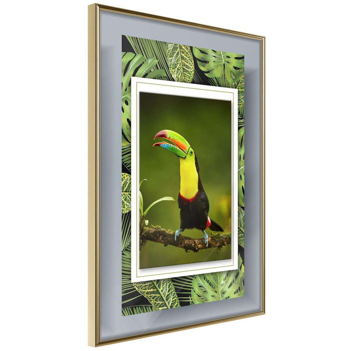 Paris Prix Affiche Murale Encadrée  Toucan in the Frame