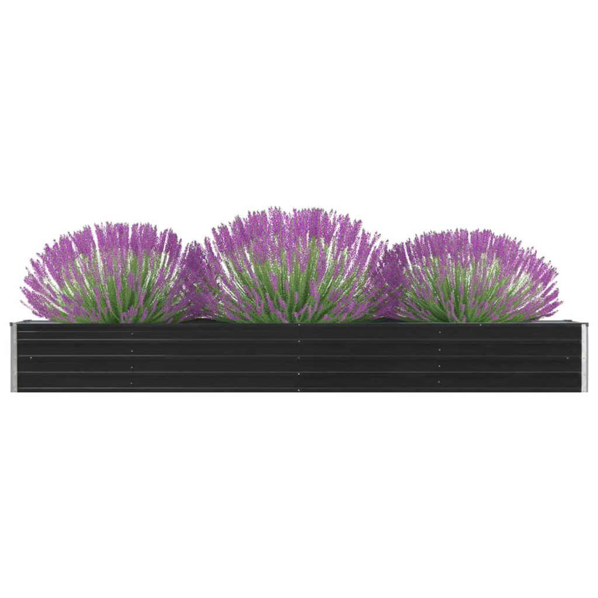 Voir la diapositive 1 : VIDAXL Lit sureleve de jardin Acier galvanise 320x40x45 cm Anthracite