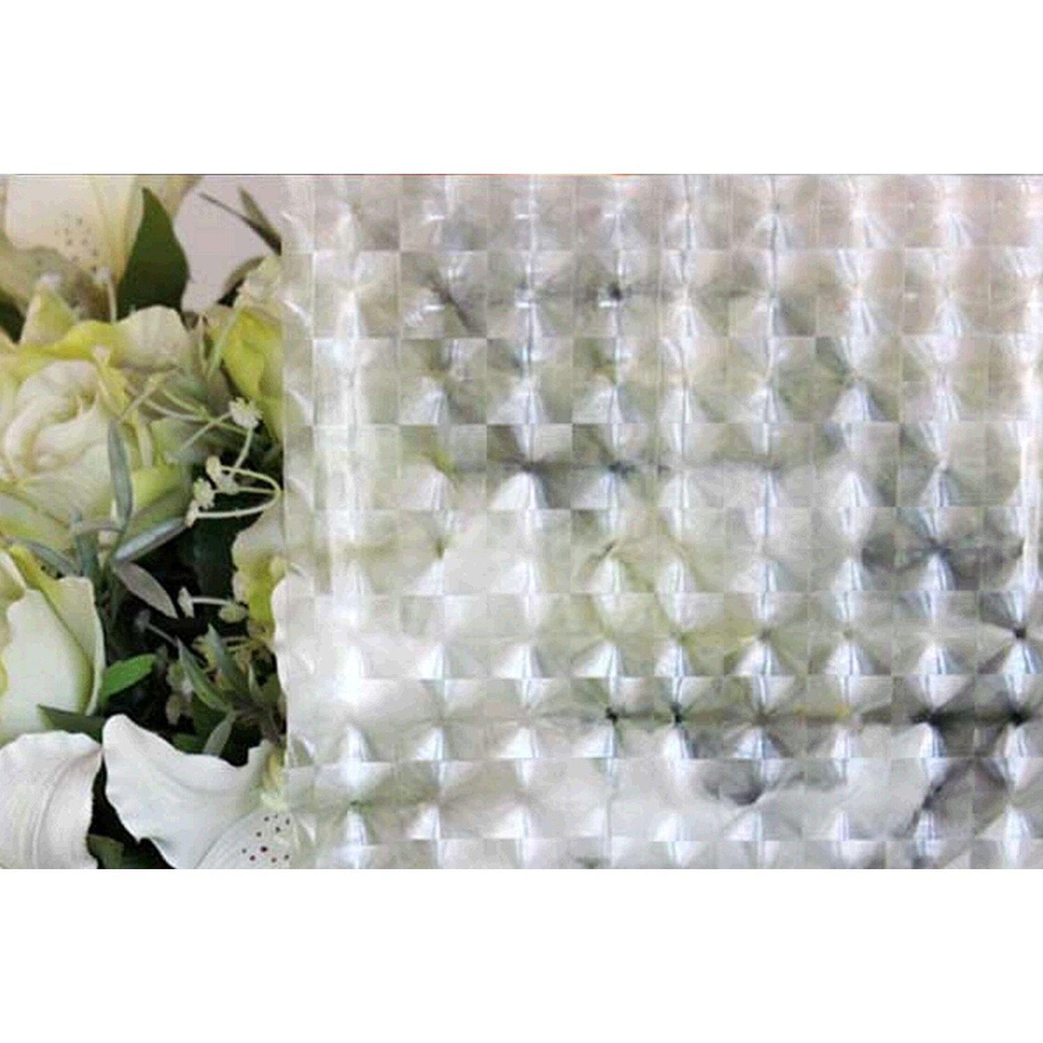 HABITABLE Film décoratif pour vitre vitrostatique carro - 150 x 45 cm - transparent