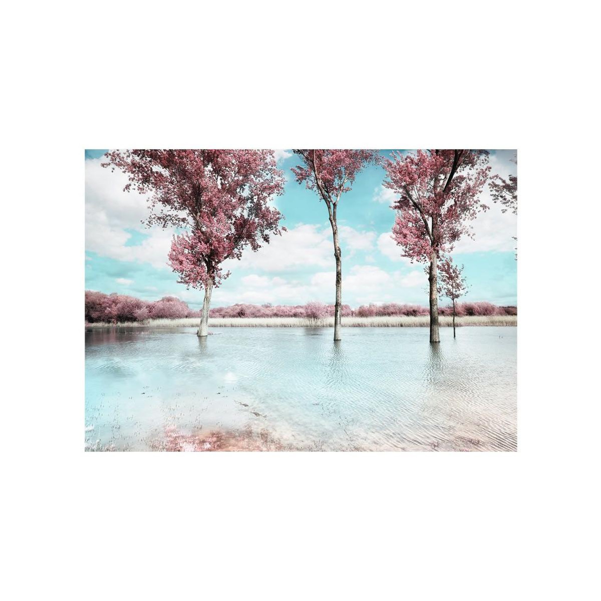 Voir la diapositive 2 : Paris Prix Papier peint  autumn scenery