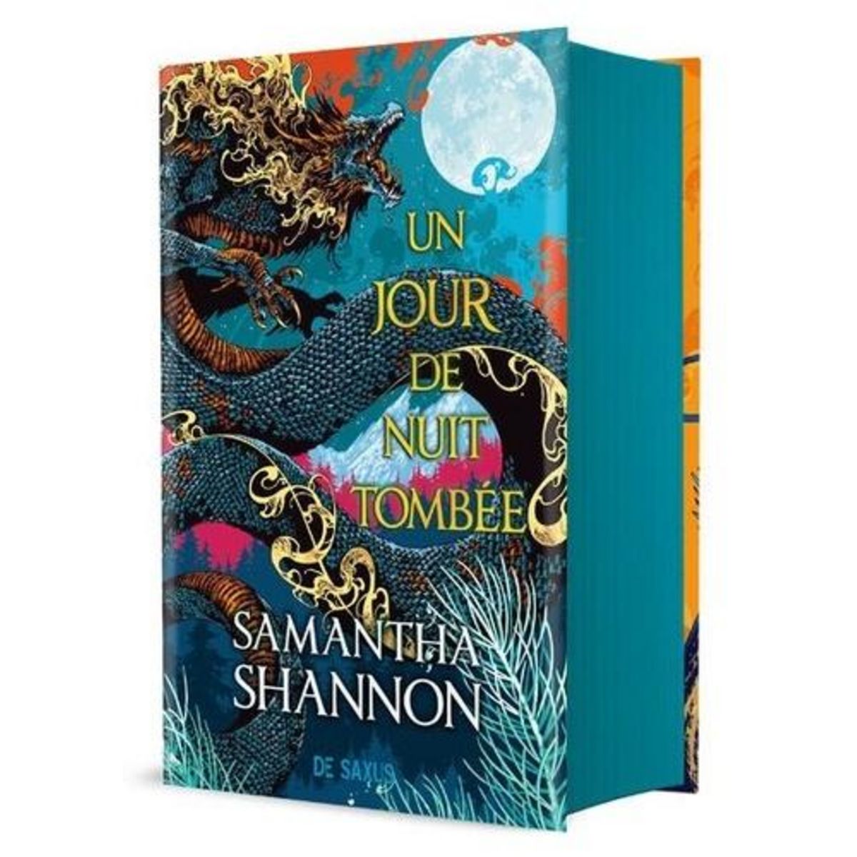 UN JOUR DE NUIT TOMBEE . EDITION COLLECTOR, Shannon Samantha