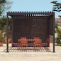 Voir la diapositive 2 : SWEEEK Pergola bioclimatique aluminium 3x3m V2 + 2 stores 3m Triomphe